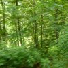 2012-06-23 - 11-10-54 SchweizTour